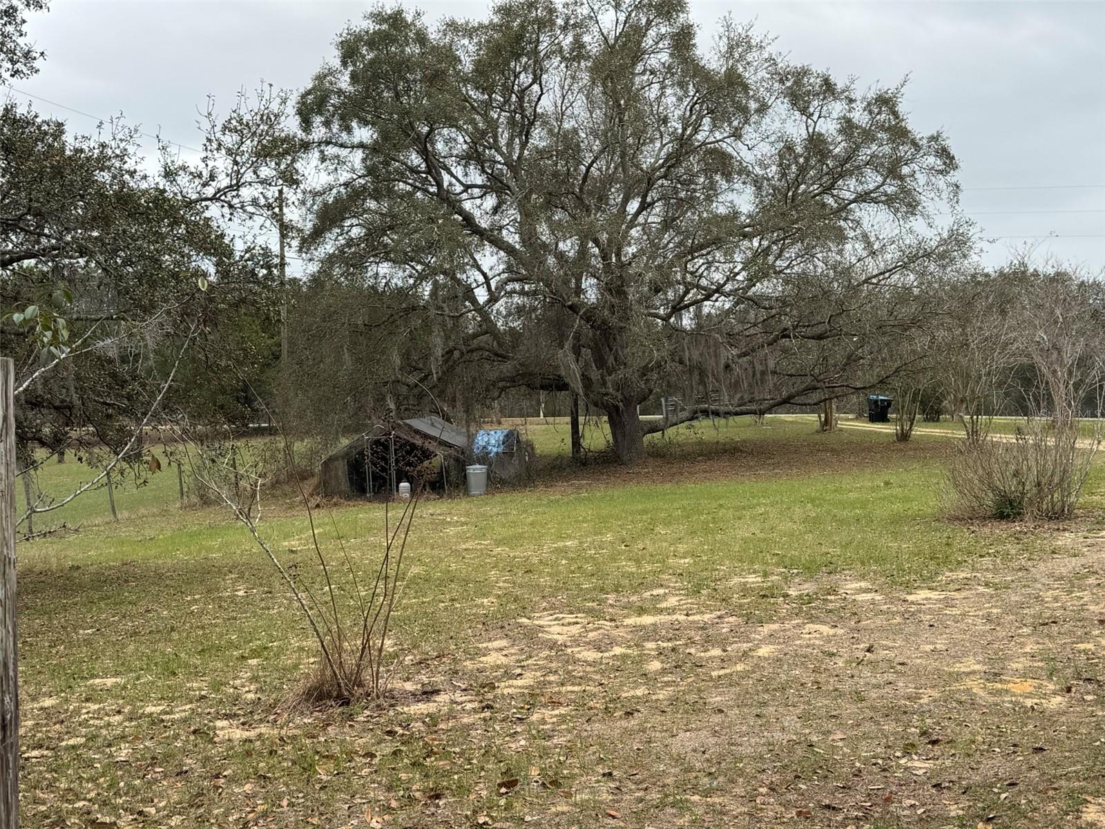 LAKE AVALON GROVES REP 02 - Residential