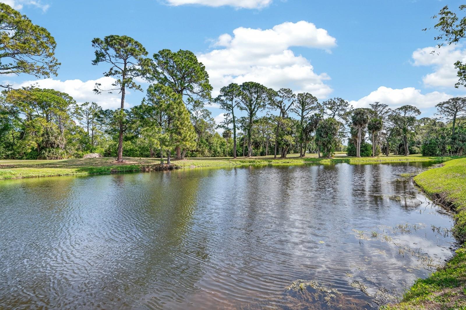 PELICAN BAY PH 04 UNIT 01 - Residential