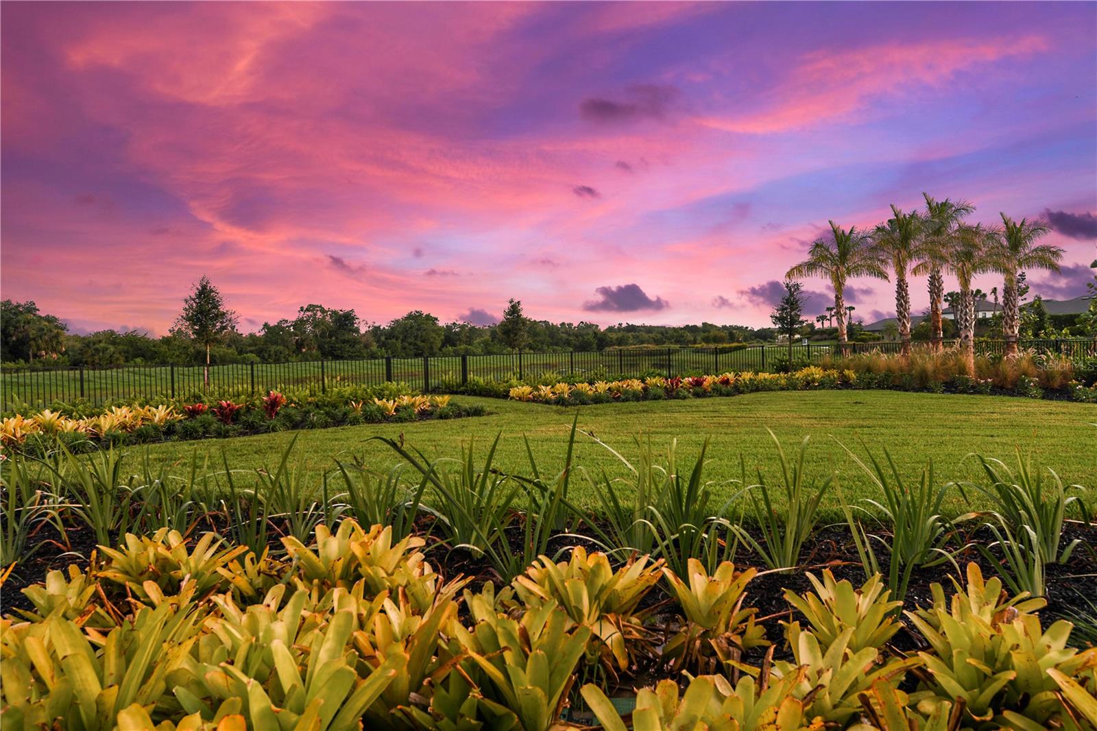 CASSIA AT SKYE RANCH - Residential