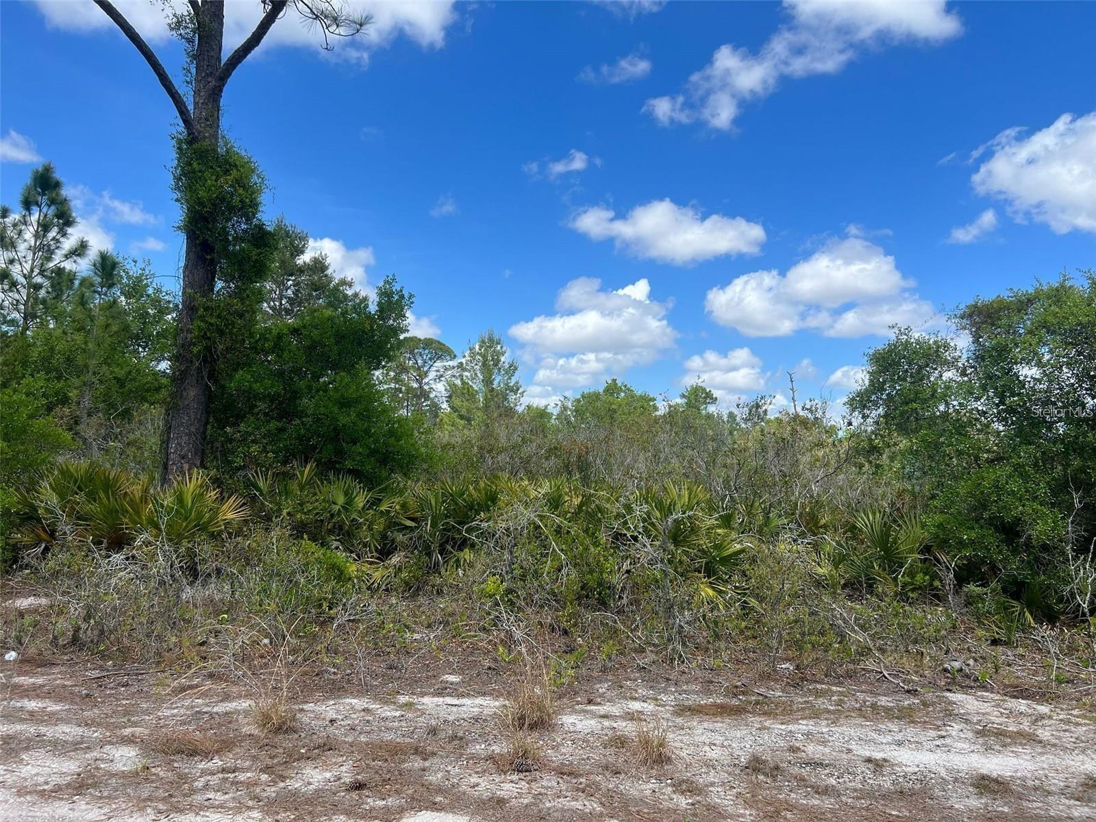 SEBRING HILLS SOUTH - Land