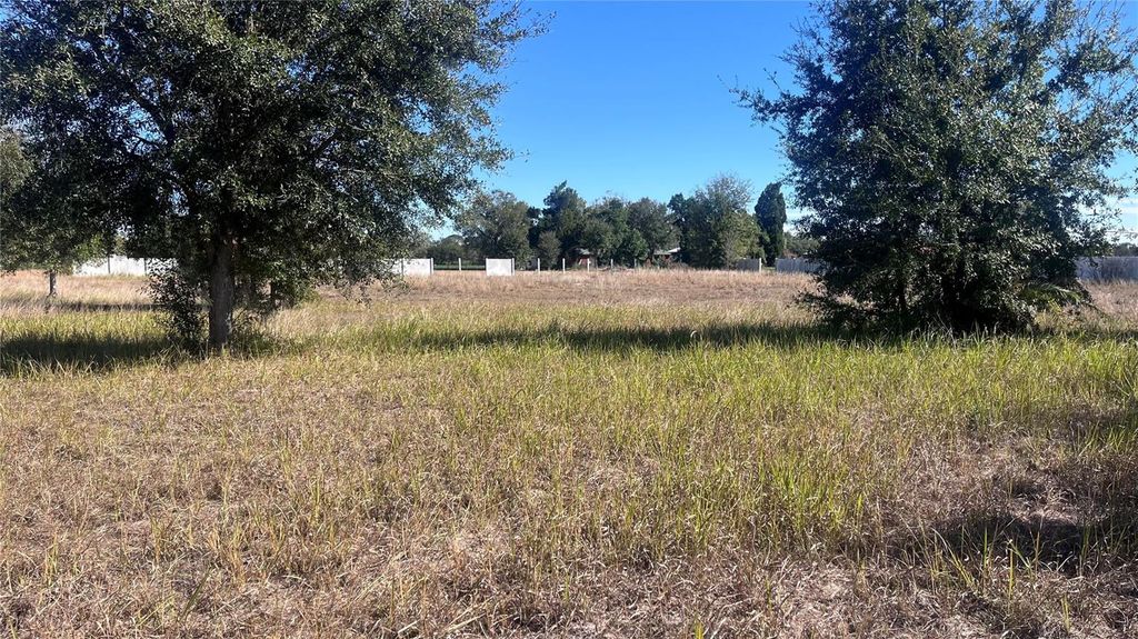 Photo of 13415 Cocopah Lane, Dover, FL 33527 (MLS # TB8466346)