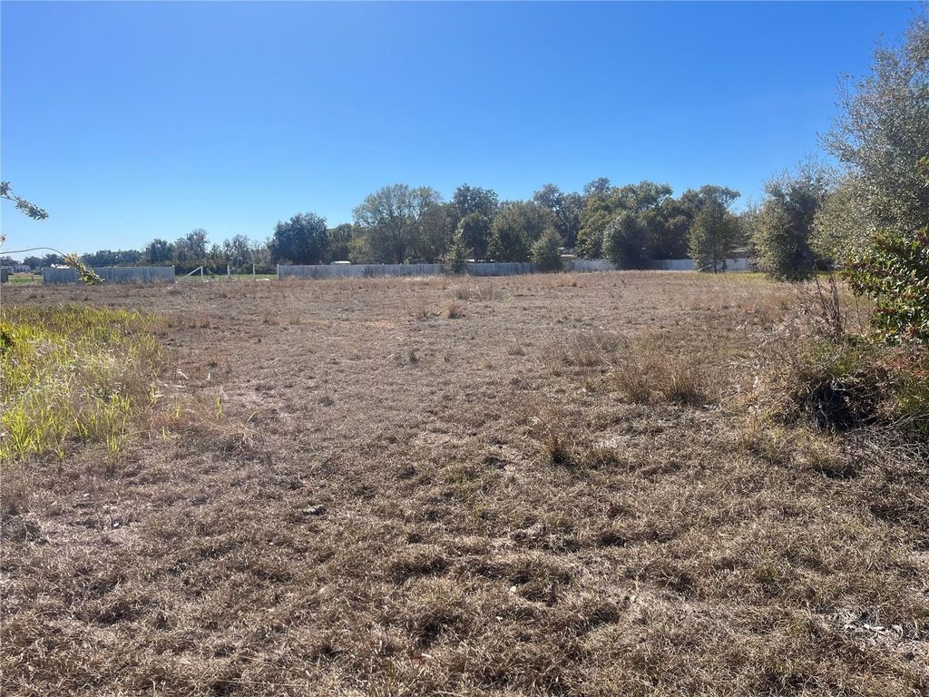 Photo of 13415 Cocopah Lane, Dover, FL 33527 (MLS # TB8466346)