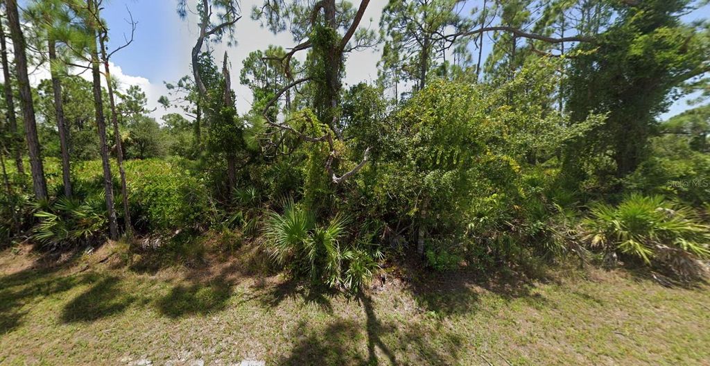 Photo of 27043 Tangier Drive, Punta Gorda, FL 33955 (MLS # C7524824)