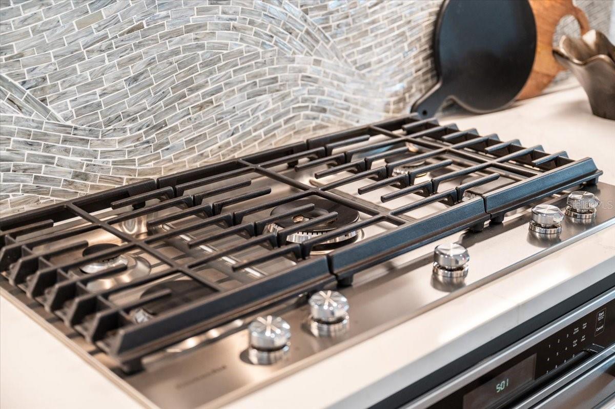 SHOREVIEW AT LAKEWOOD RANCH WATERSIDE - Residential