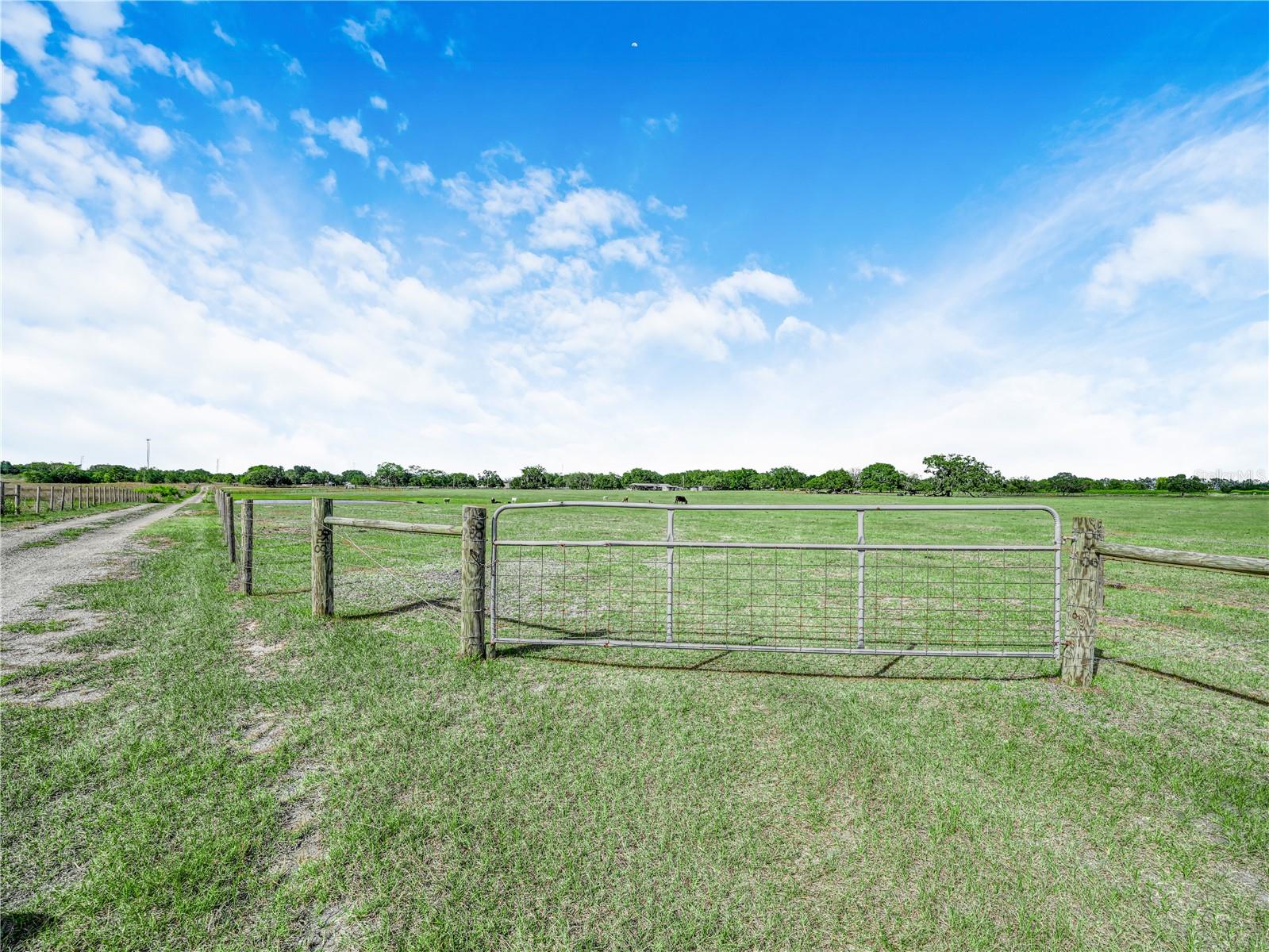 NOT IN SUBDIVISION - Residential