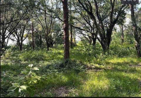 Tiny photo for Sr-19, Groveland, FL 34736 (MLS # O6302728)