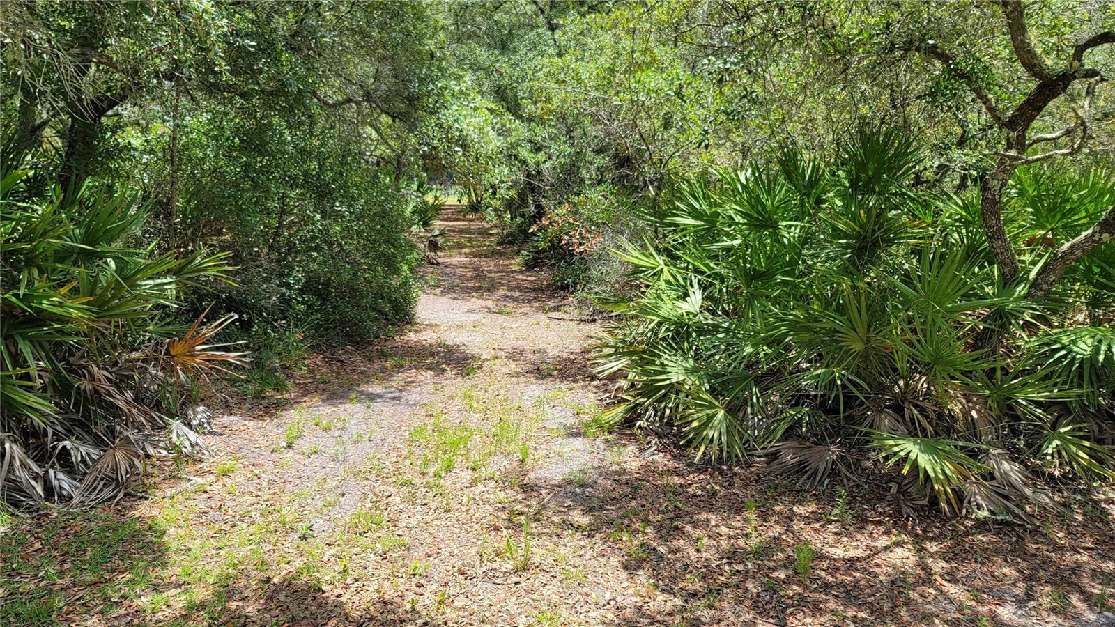 EUGENE RANDLE PROP - Residential