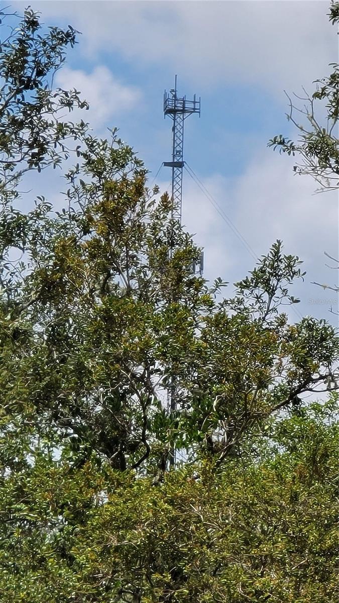 EUGENE RANDLE PROP - Residential