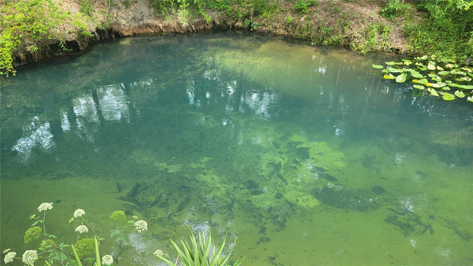 EUGENE RANDLE PROP - Residential