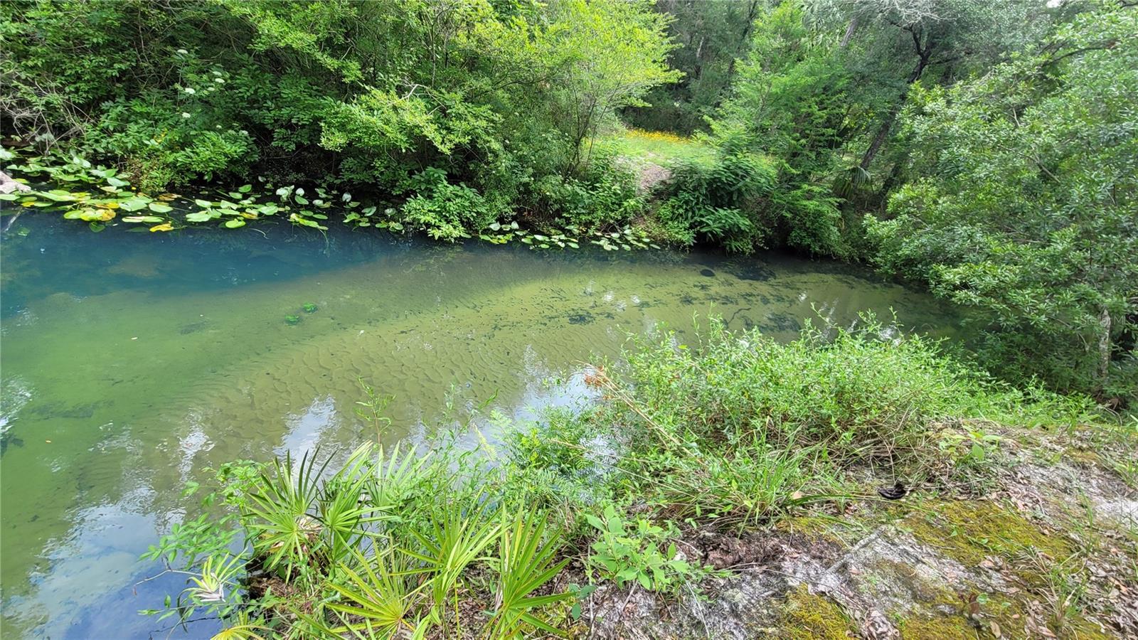 EUGENE RANDLE PROP - Residential