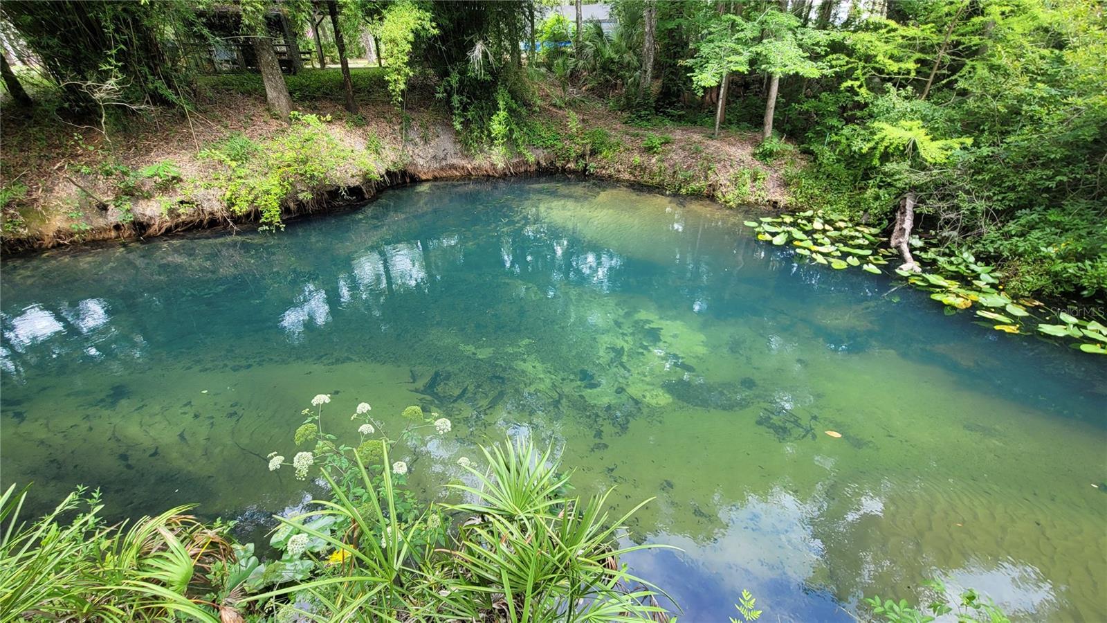 EUGENE RANDLE PROP - Residential