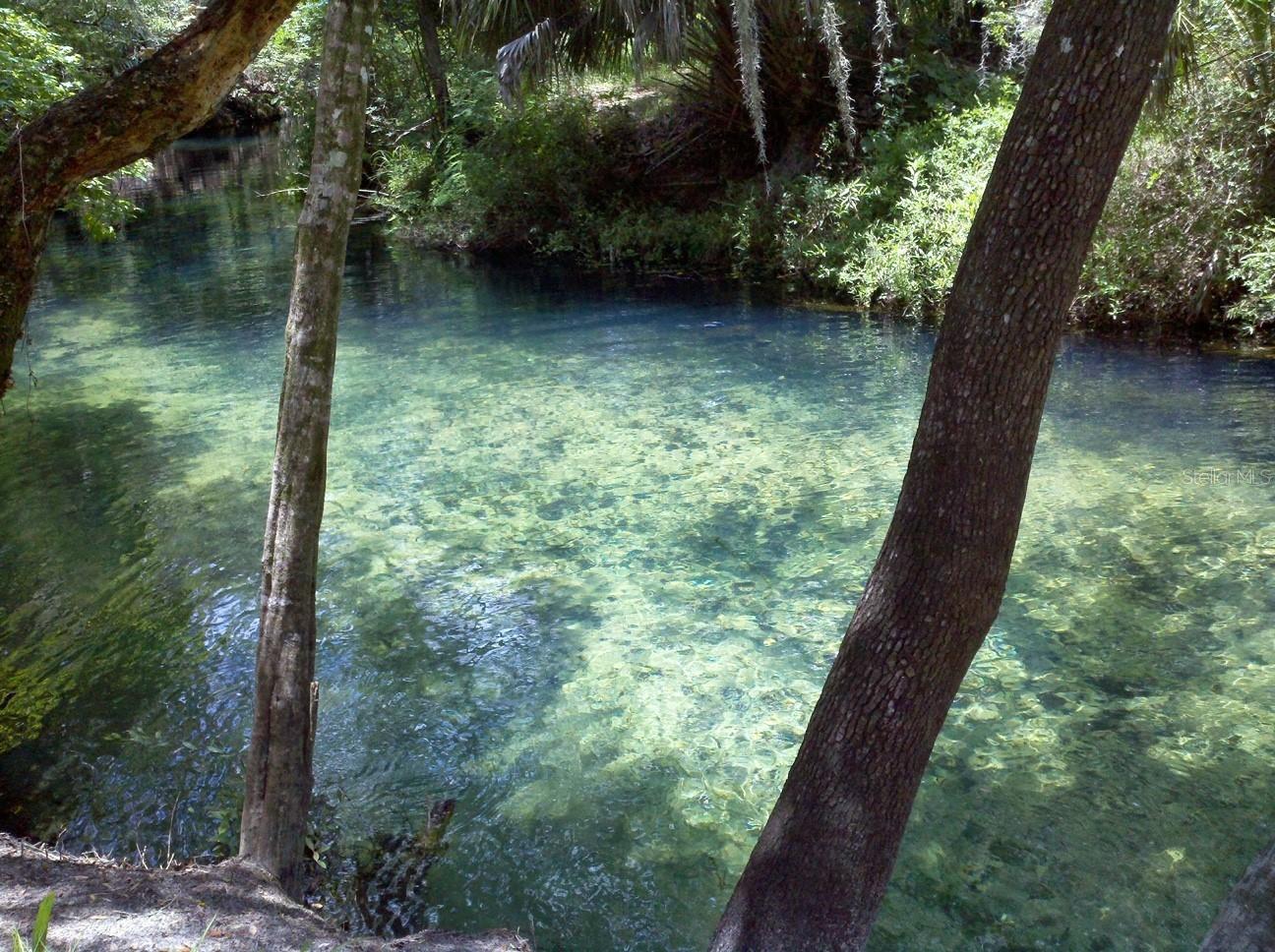 EUGENE RANDLE PROP - Residential