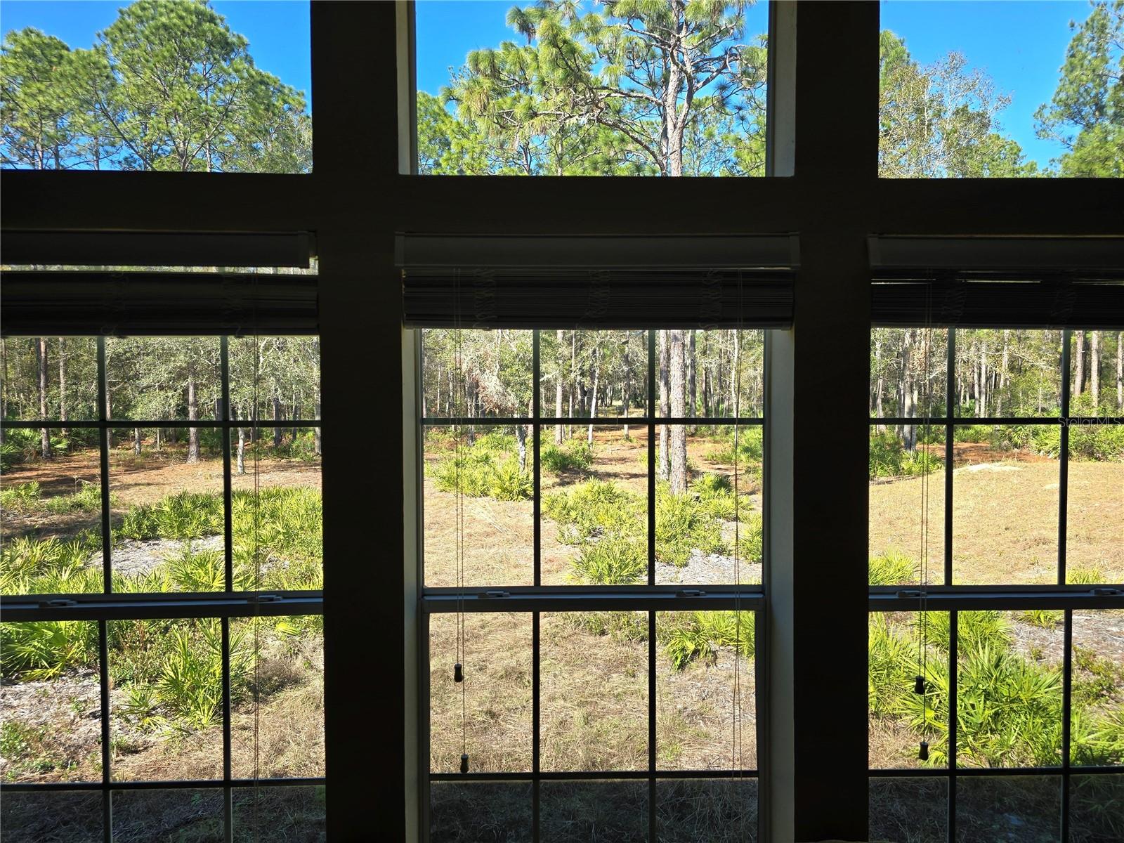 EUGENE RANDLE PROP - Residential