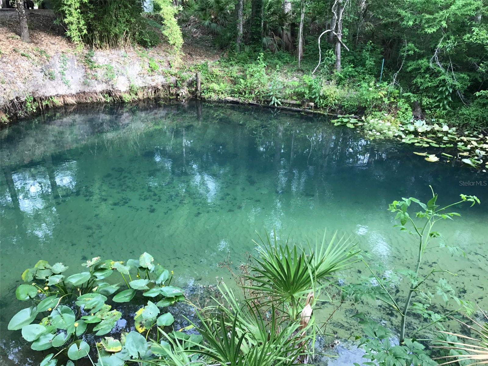 EUGENE RANDLE PROP - Residential