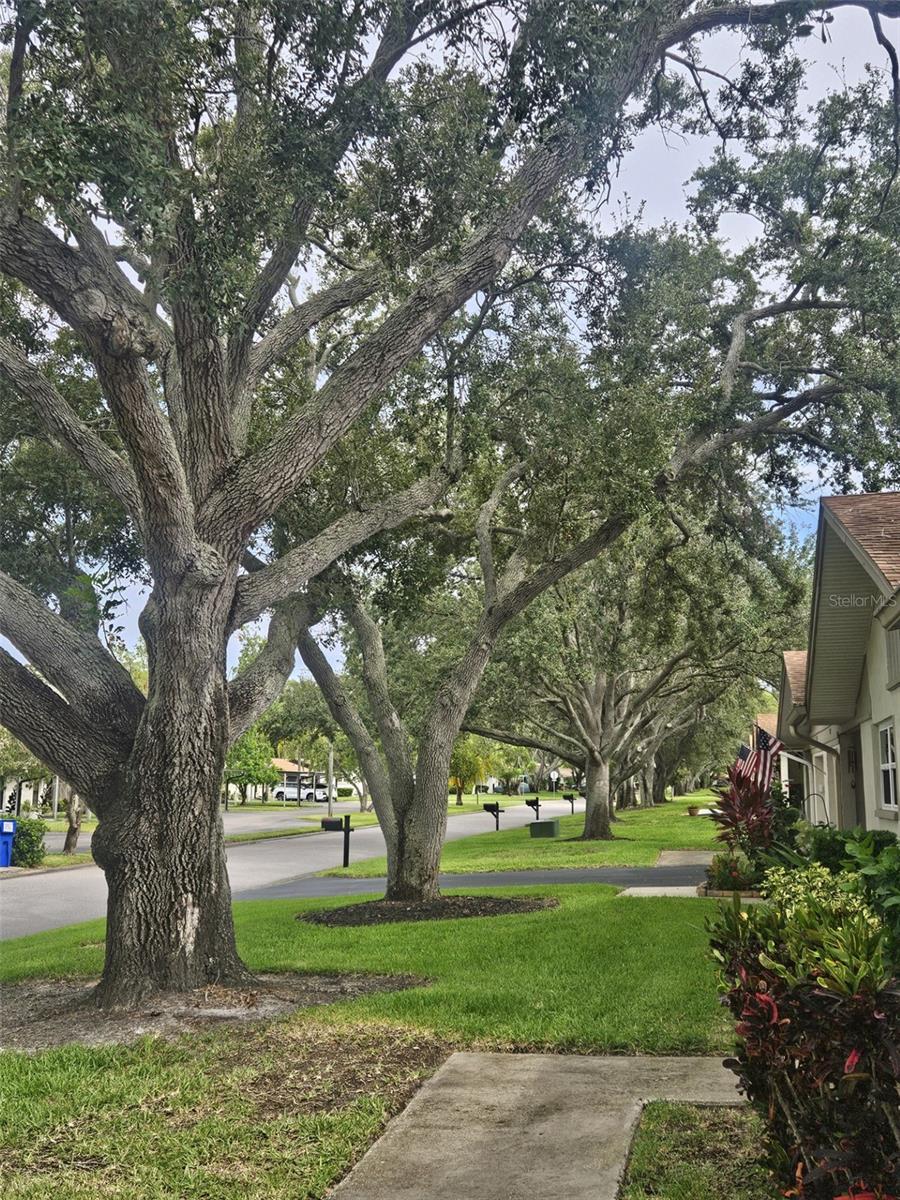 HEATHER RIDGE - Residential Lease
