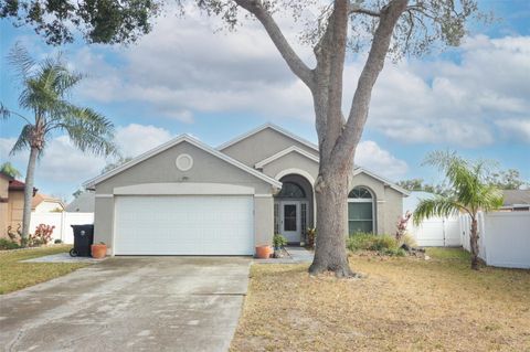 A home in APOPKA