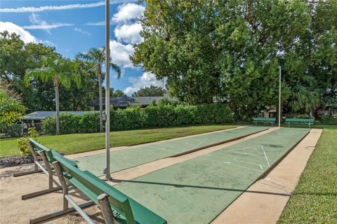 A home in MOUNT DORA