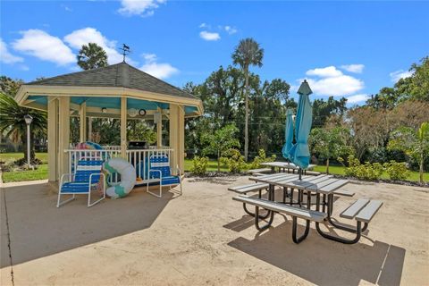 A home in MOUNT DORA