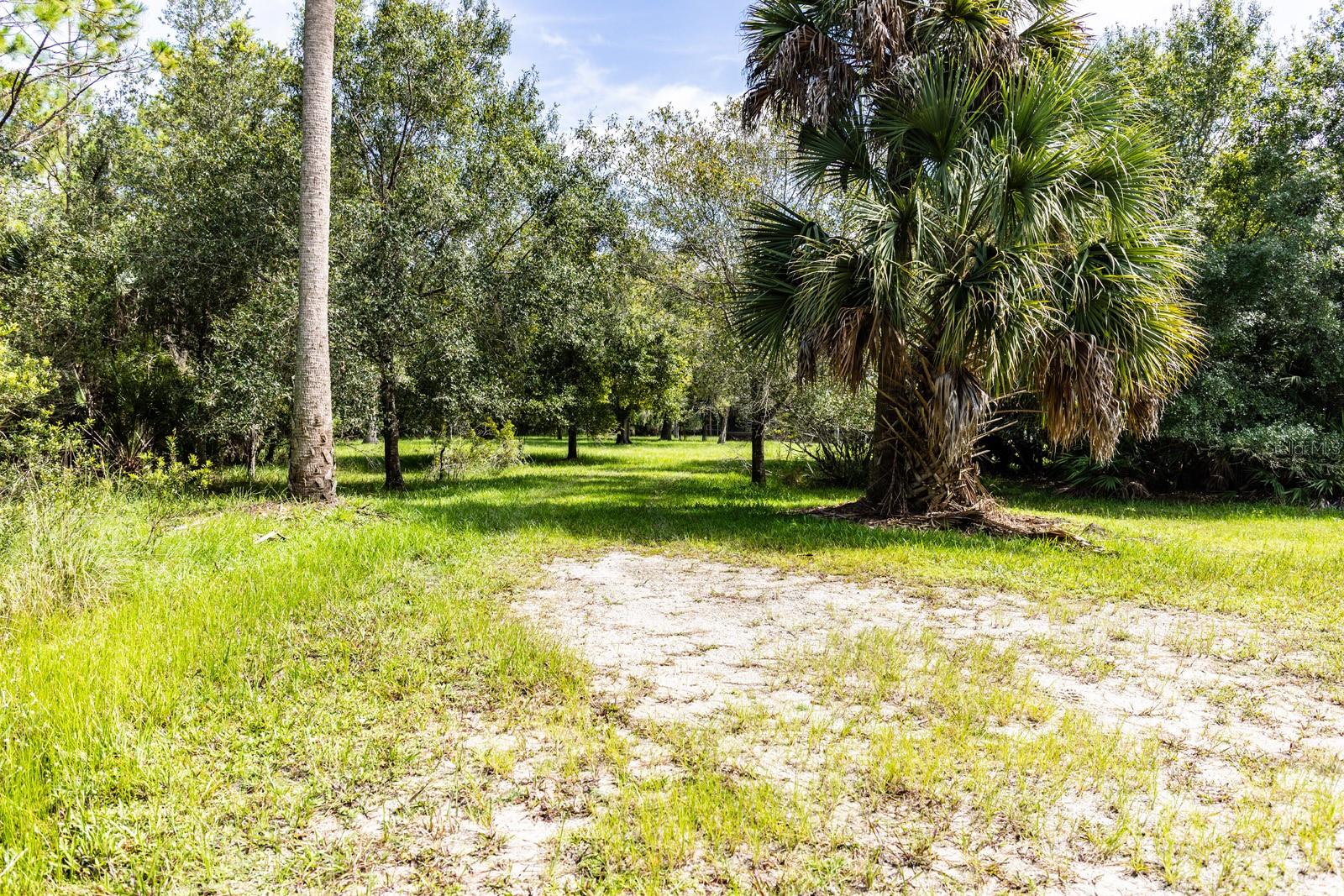 INDIAN HAMMOCK HUNT AND RIDING CLUB - Residential