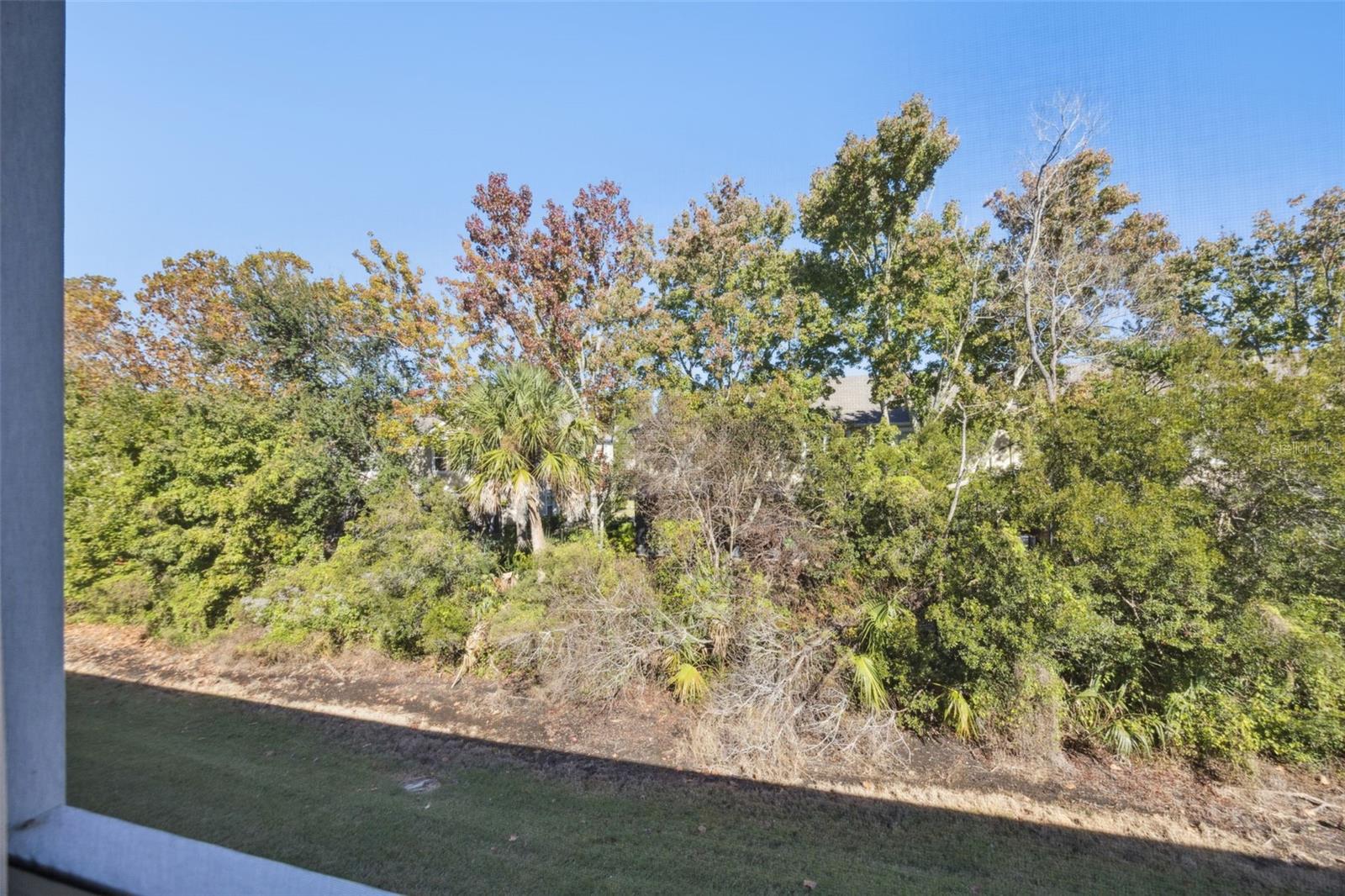 CARRIAGE HOMES AT DUNWOODY COMMONS A CONDO - Residential