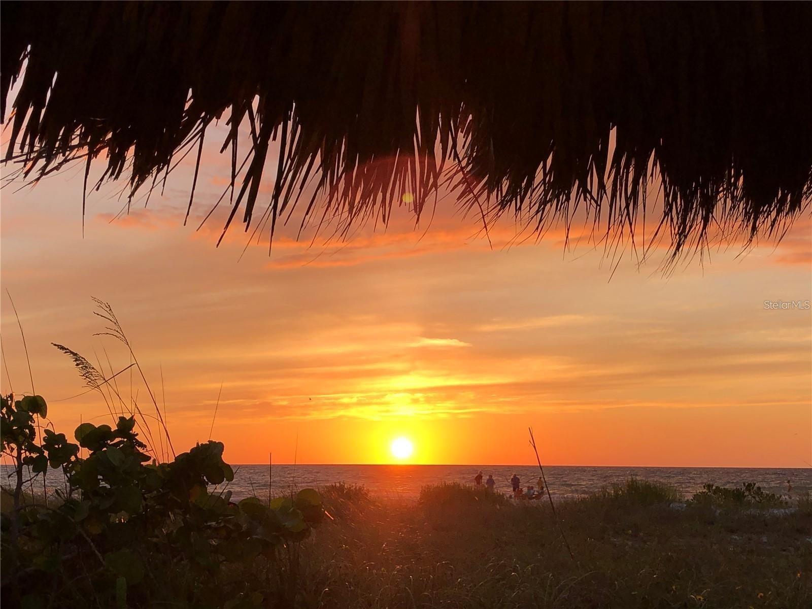 HARBOUR LIGHT TOWERS CONDO - Residential