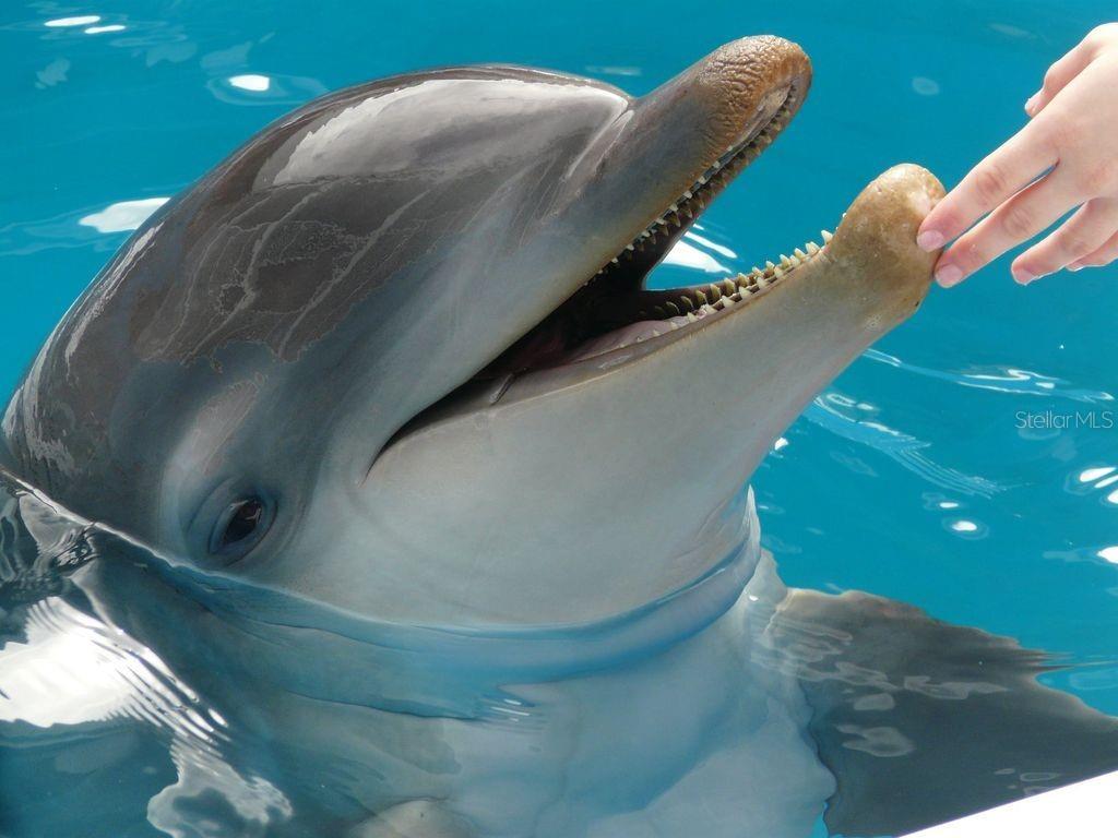 HARBOUR LIGHT TOWERS CONDO - Residential