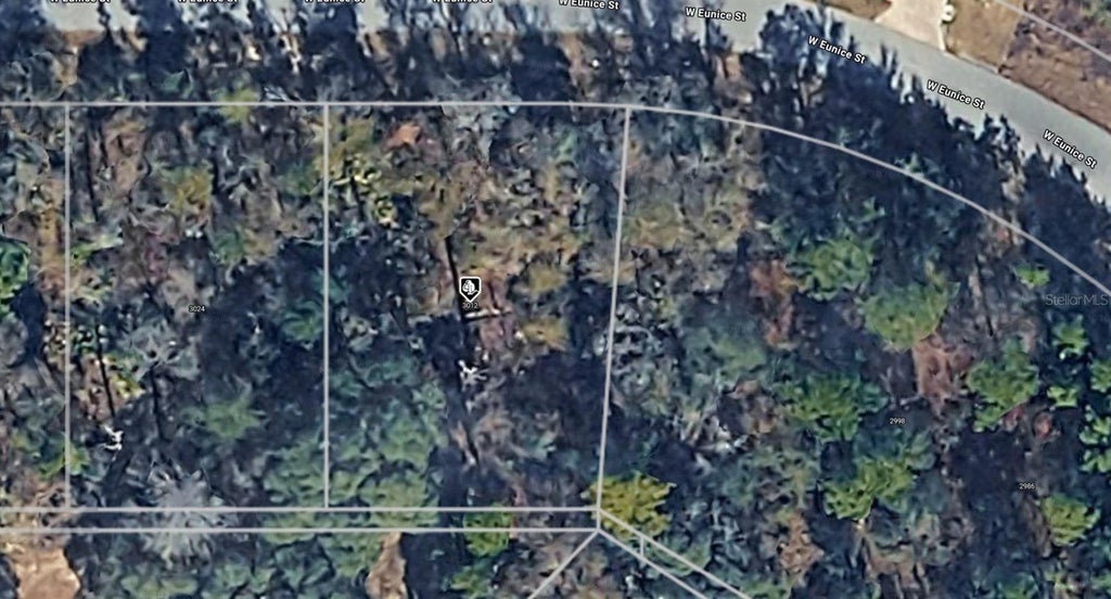 Photo of 3012 W Eunice Drive, Dunnellon, FL 34433 (MLS # A4708780)