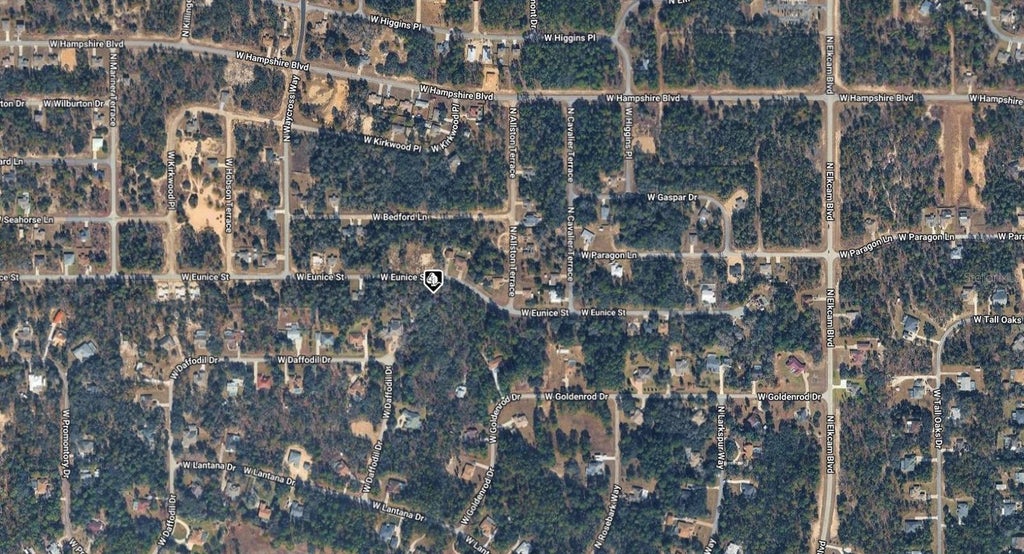 Photo of 3012 W Eunice Drive, Dunnellon, FL 34433 (MLS # A4708780)