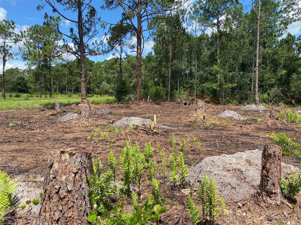 Photo of 2101 W Frostproof Road, Frostproof, FL 33843 (MLS # S5122478)