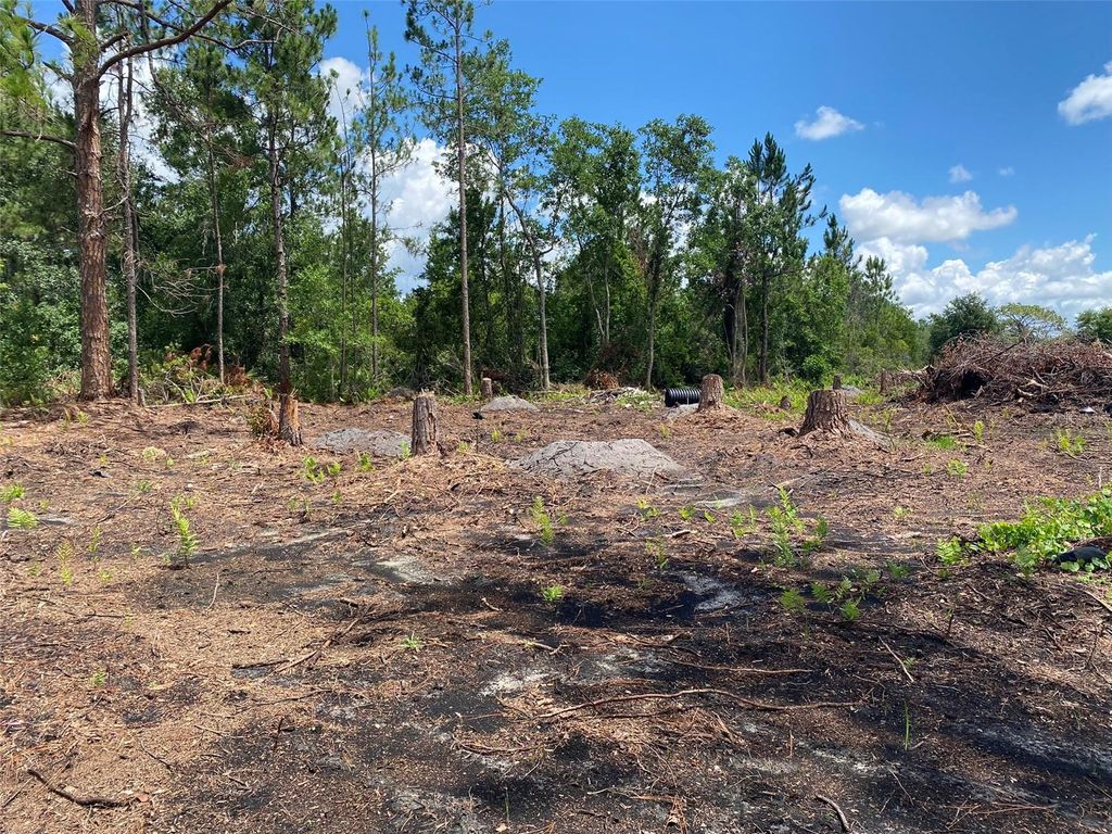 Photo of 2101 W Frostproof Road, Frostproof, FL 33843 (MLS # S5122478)