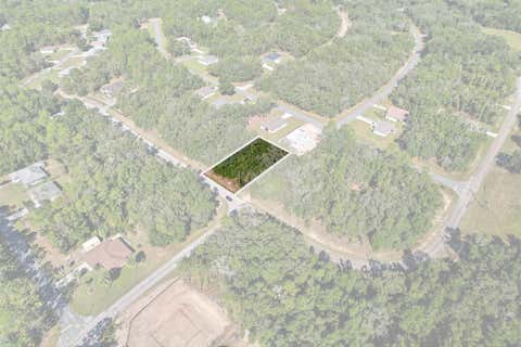 Photo of 10562 N Adler Drive, Citrus Springs, FL 34434 (MLS # TB8516502)
