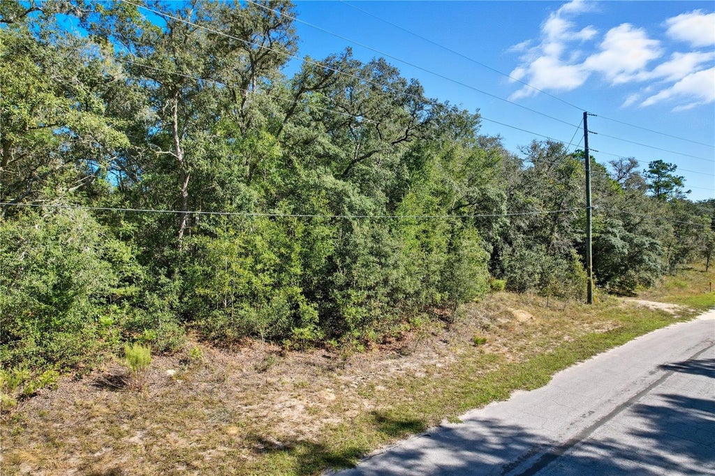 Photo of 10562 N Adler Drive, Citrus Springs, FL 34434 (MLS # TB8516502)