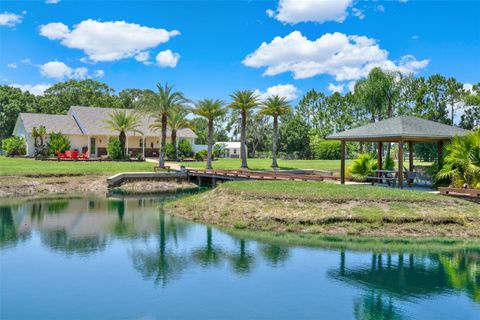 3650 PEPPER LANE NEW SMYRNA BEACH FL 32168