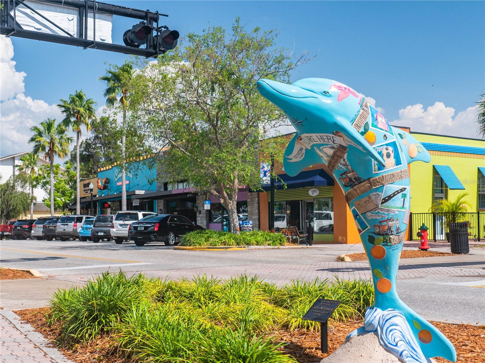 DUNEDIN TOWN OF - Residential