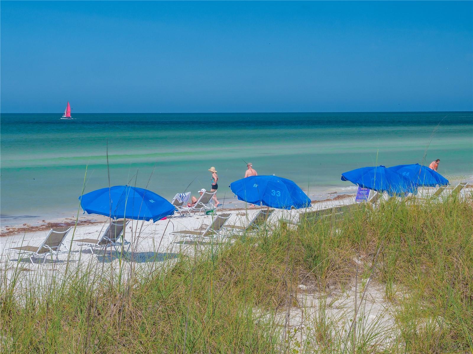 DUNEDIN TOWN OF - Residential