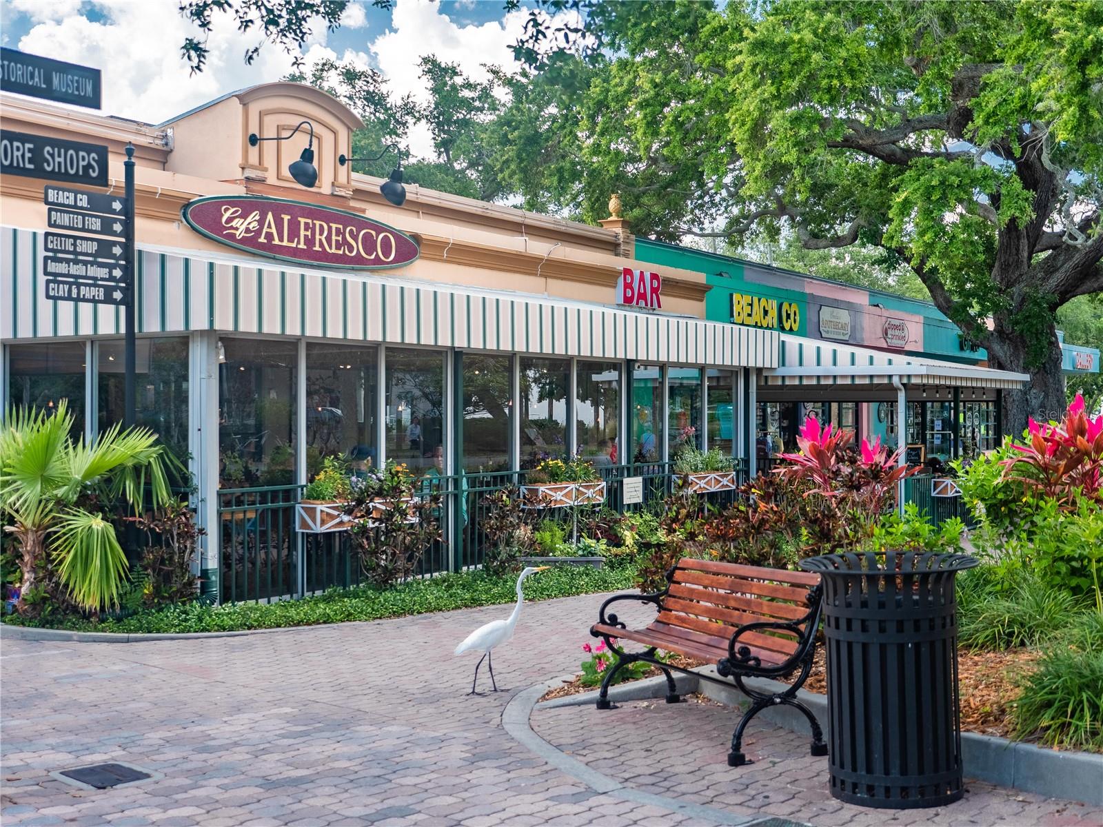 DUNEDIN TOWN OF - Residential