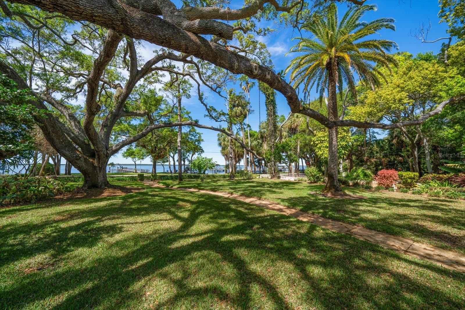 DUNEDIN TOWN OF - Residential