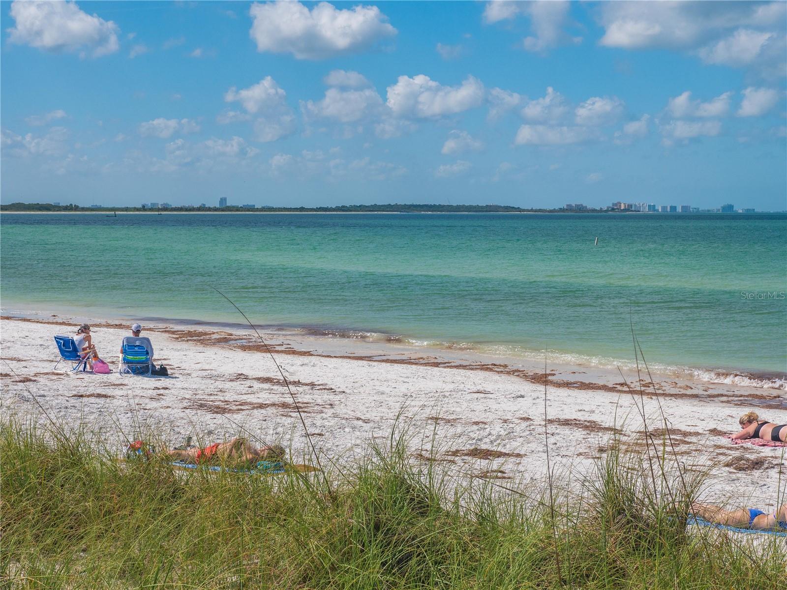 DUNEDIN TOWN OF - Residential