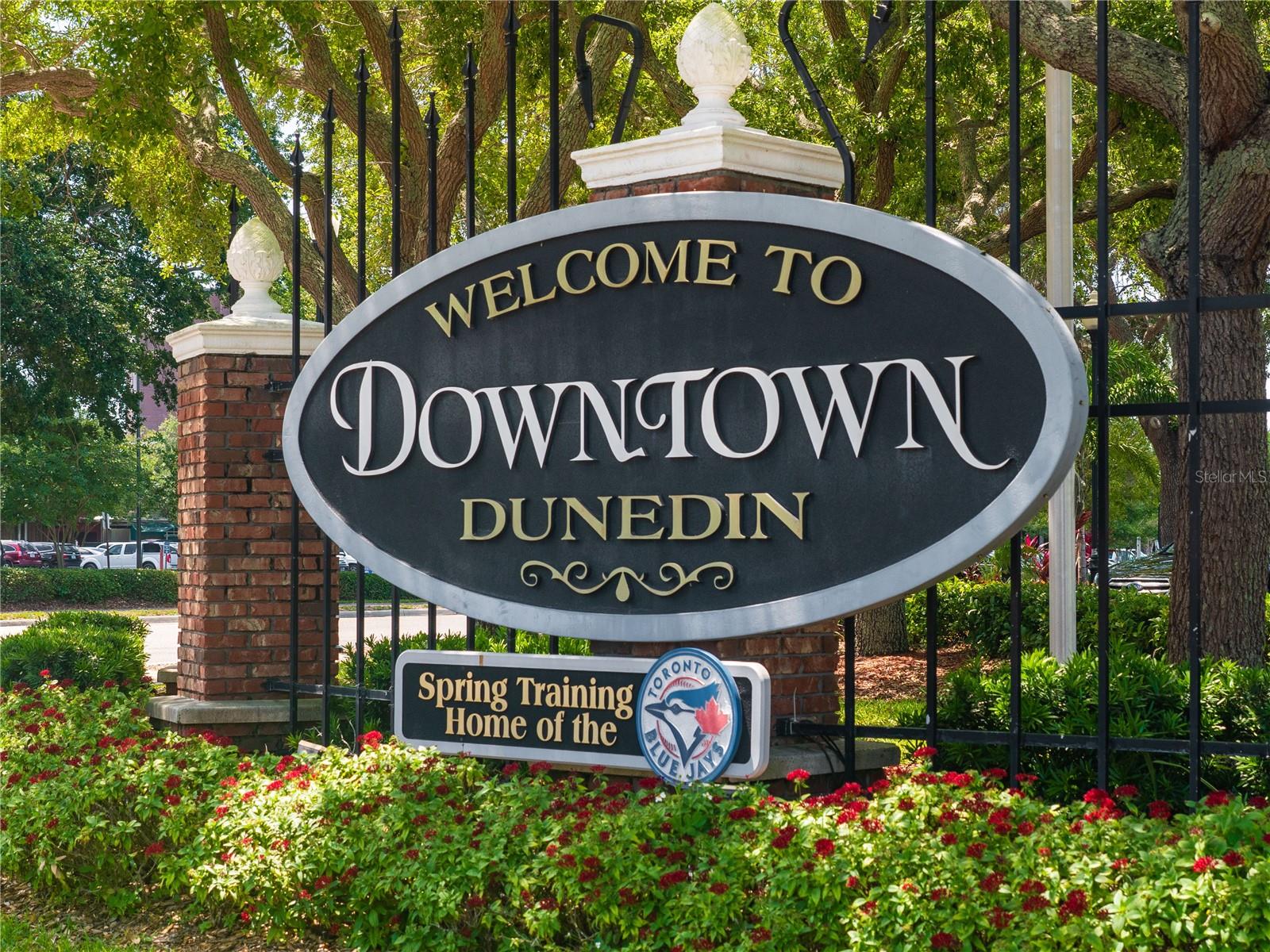 DUNEDIN TOWN OF - Residential