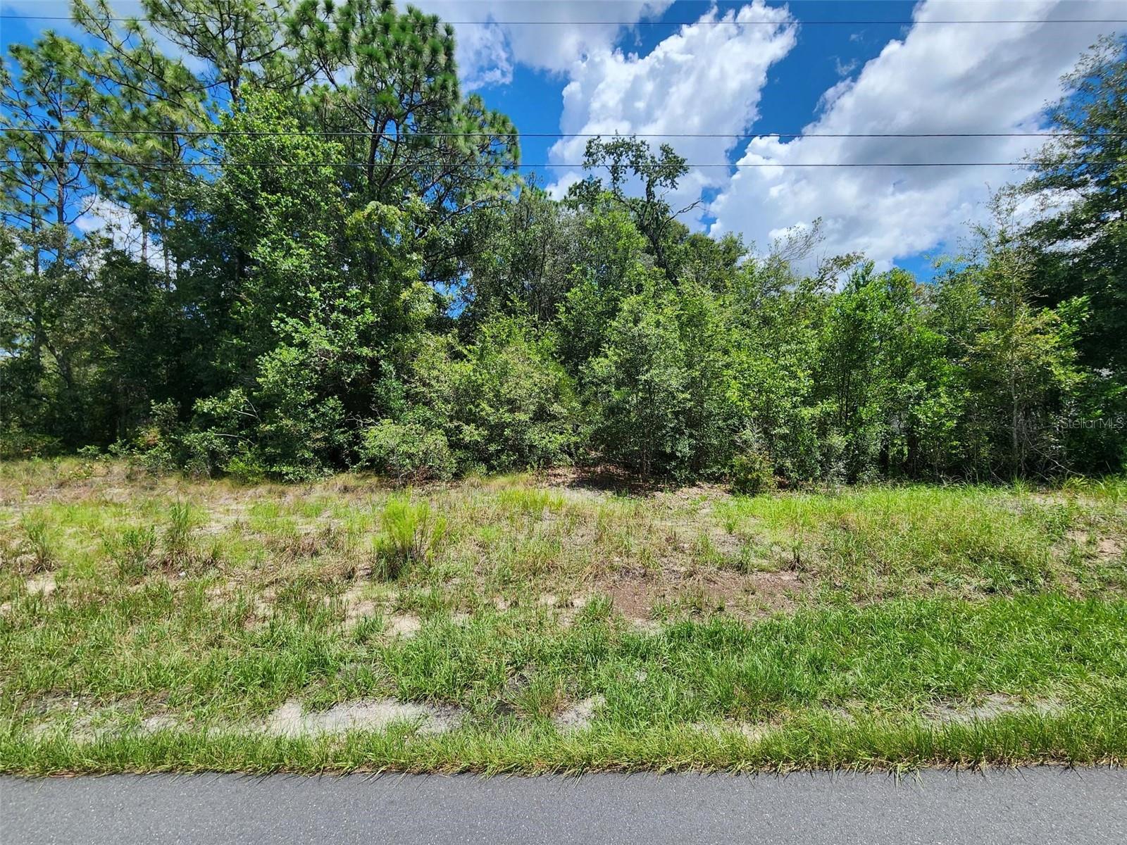Nice .24 Acre Building lot in up and coming neighborhood of Rainbow Lakes Estates, close to the Lakes...Love the Community you live in! Rainbow Lakes Estates offers a Community Center and a Recreational Park which include playgrounds, tennis courts, racquetball courts, basketball courts, baseball field, walking trails, a boat ramp to Tiger Lake, and picnic pavilions. Rainbow River and Rainbow Springs are part of Marion County's Top outdoor attractions and are only a short 10 minute drive from Rainbow Lakes Estates. Enjoy the crystal clear water for kayaking, tubing and outdoor fun. Play a round of golf just 10 minutes away at Nationally recognized Juliette Falls Championship Golf Course. Whether you enjoy outdoor activities and adventure, or prefer to relax and enjoy the beauty of nature, you'll love calling Rainbow Lakes Estates your home.