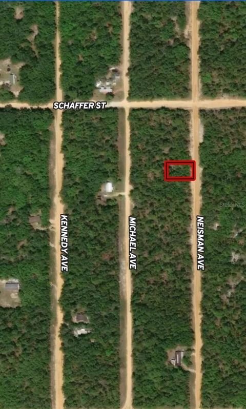 LOT 33 NEISMAN AVENUE INTERLACHEN FL 32148
