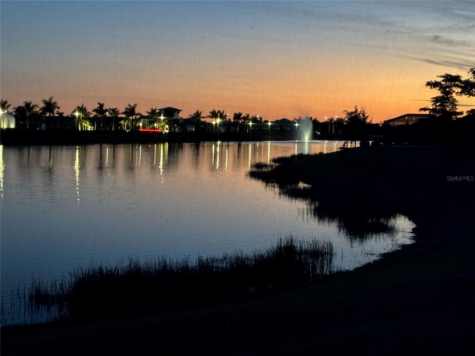 11463 MYAKKA BLUE DRIVE