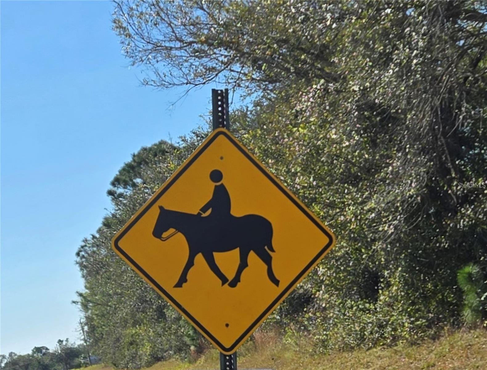 PRAIRIE CREEK PARK - Residential