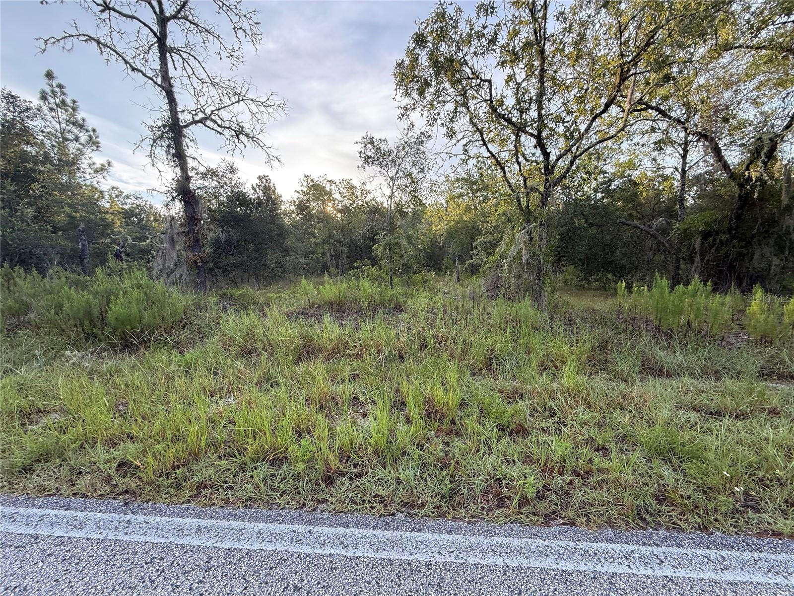 This spacious one-acre parcel is just minutes away from the picturesque Bonable Lake, which has a dock for fishing, a park to play, and a gazebo to sit and enjoy the natural setting around you. It is time to build your home on this blank canvas or start your next investment project here! Priced to sell, and not far from the popular Rainbow Springs State Park, and minutes away from several trails and all of the amenities you need in Dunnellon or Ocala. Make your dreams a reality on this beautiful parcel of land, where nature and tranquility await!