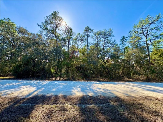 9164 BIRMINGHAM AVE, WEEKI WACHEE, FL 34613 - Image 109ffdb16a0ee2d7a91bb44804cb7c93/2352123787
