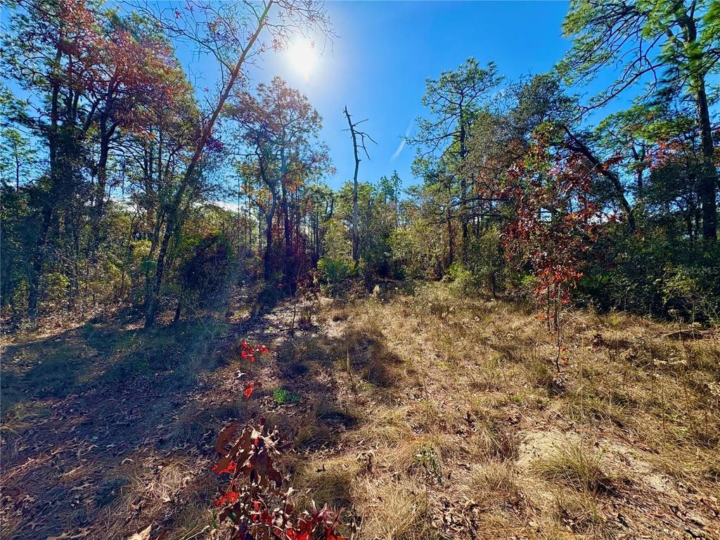 Photo of 9164 Birmingham Avenue, Weeki Wachee, FL 34613 (MLS # W7881912)