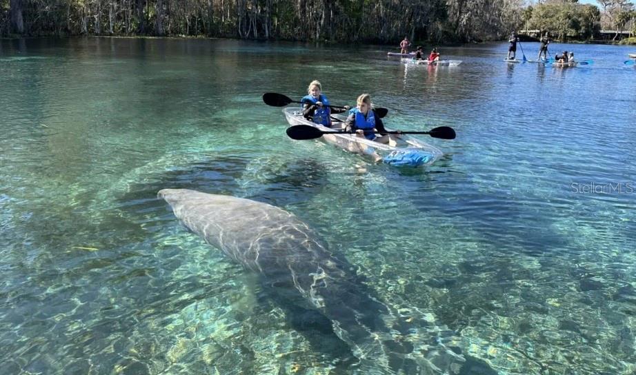 EVANS LAKESIDE HEIGHTS - Land