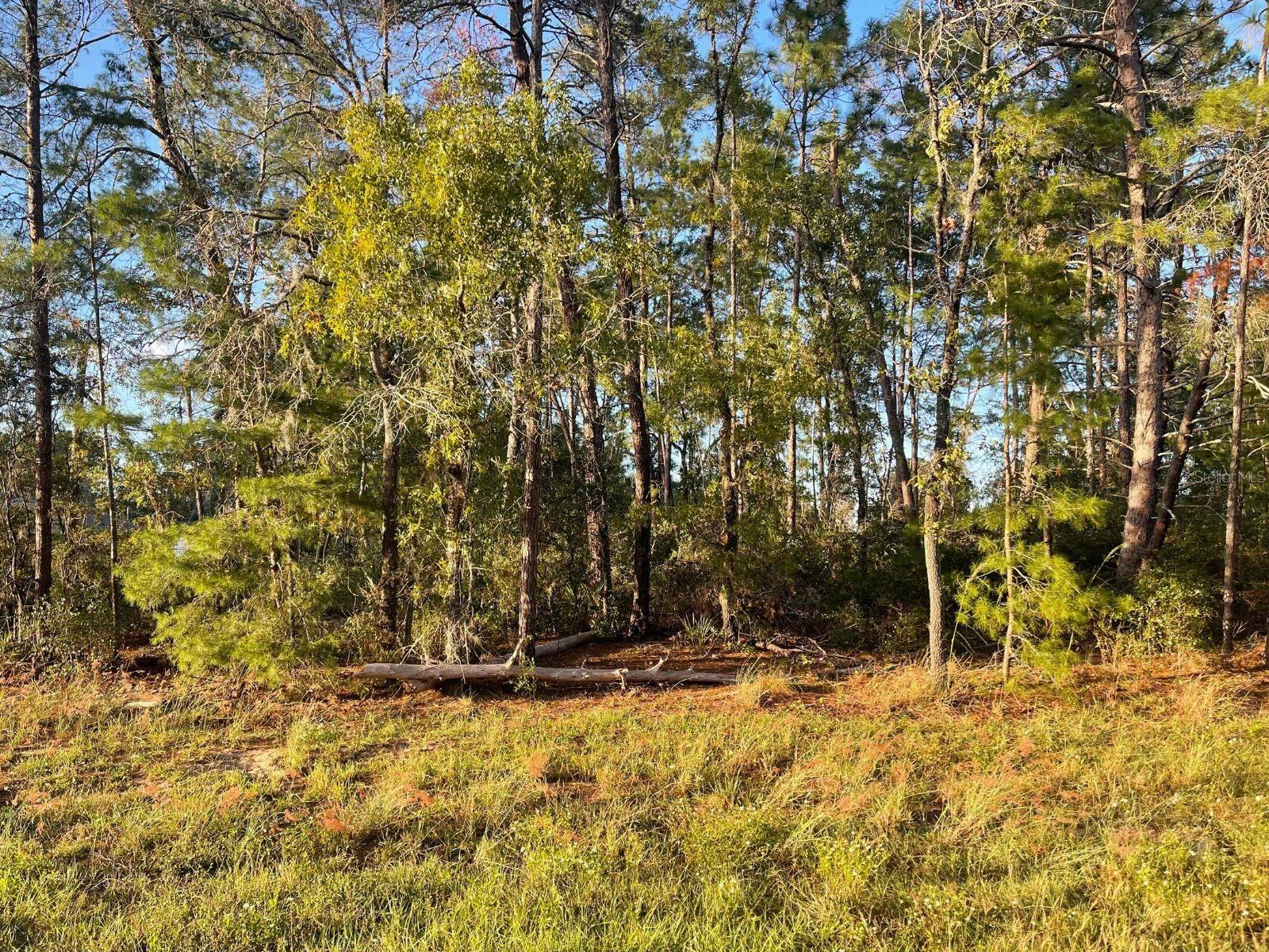 0 SW 157TH STREET