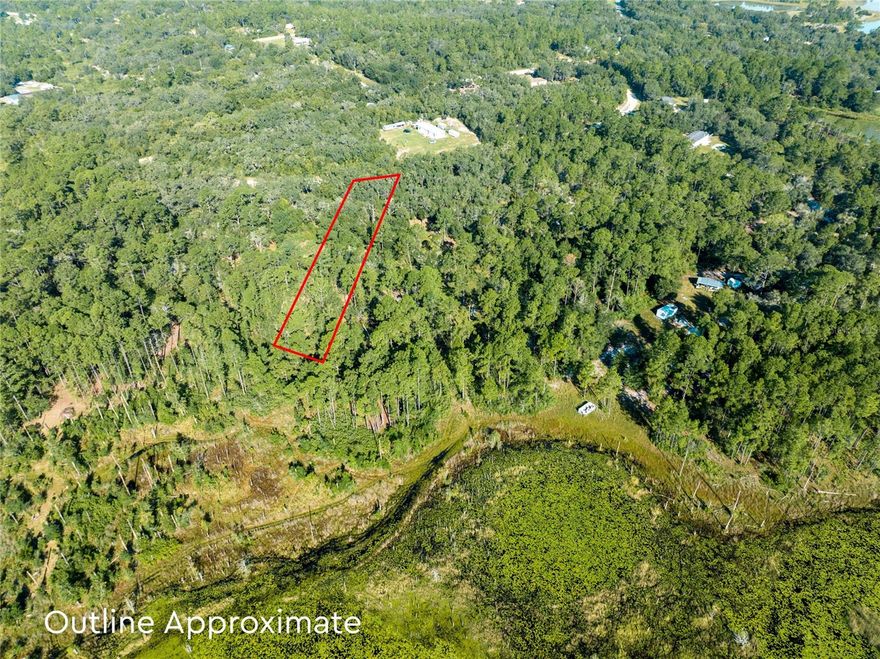 Nice quiet lot within Big Tree Lakes.