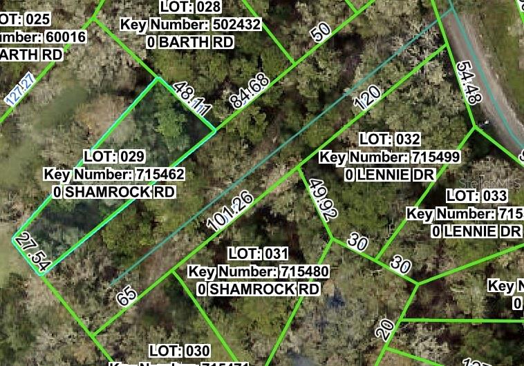 This .12 acre parcel that is the easement for the power lines. Zoned AR1. You cannot build on it...but you can play on it and use it for your enjoyment. Best buyer is a home-owner whose lot adjoins it or hold it for possible future investment.
The power company must have access to it at all times for maintenance. Cash only. The property is being transferred with a quit claim deed with no owner's title policy, and if the buyer wants any other deed or title policy, they have to pay for those closing costs
